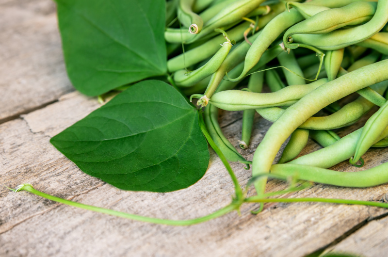 French Beans