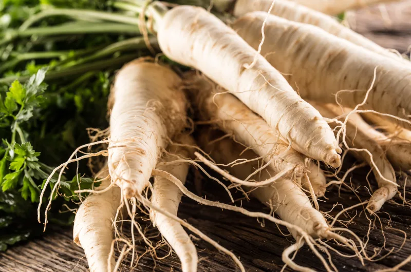 Parsnip roots