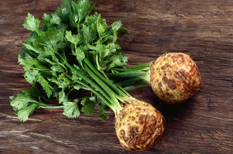 Celeriac Roots