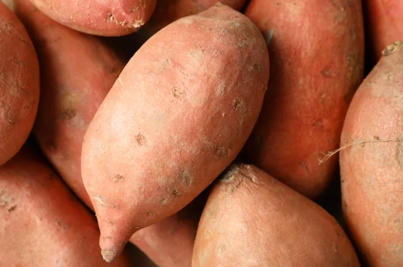 Sweet Potato Tubers